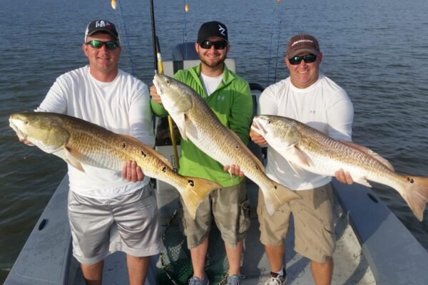 https://trensnews.com/top-5-fish-species-to-catch-on-topsail-island-fishing-charters/