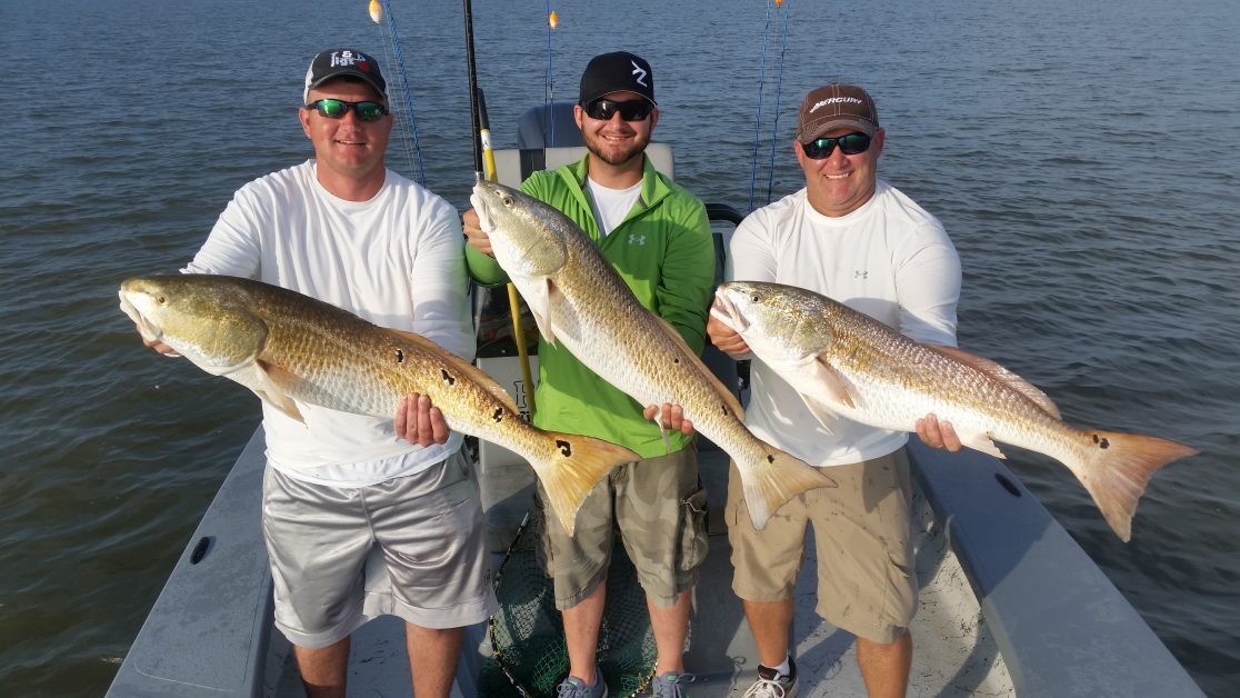 https://trensnews.com/top-5-fish-species-to-catch-on-topsail-island-fishing-charters/