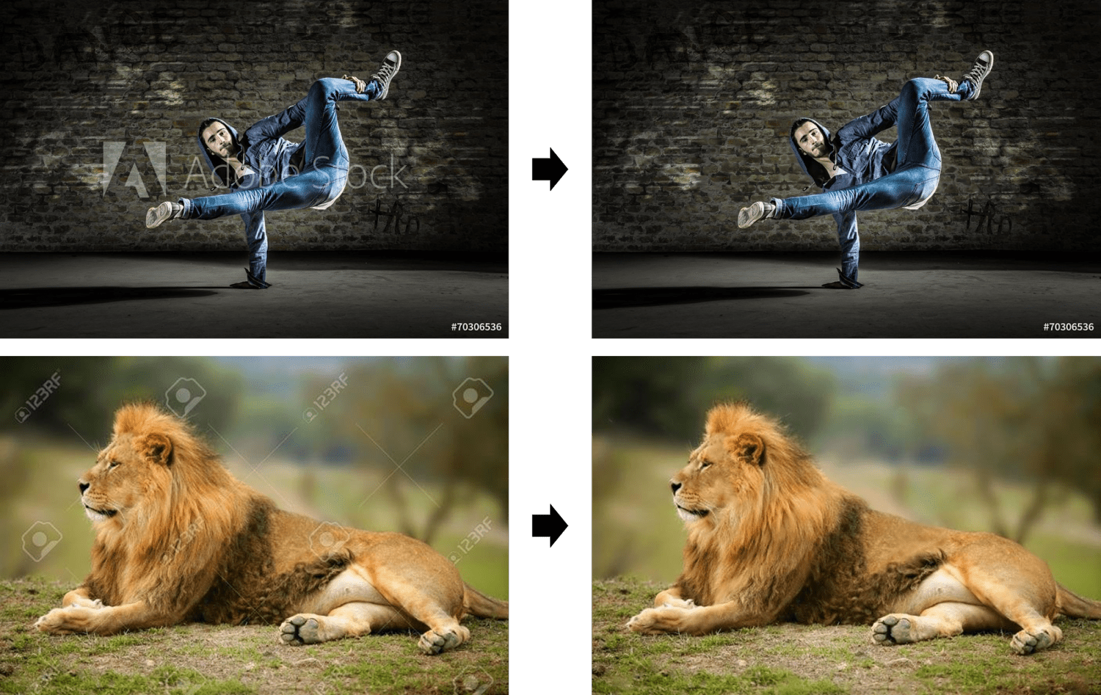 Streamlining Design Workflow: AI Watermark Remover Software for Graphic Artists