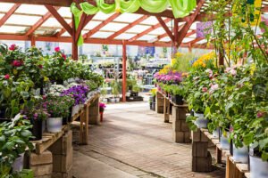 Top 5 Strategies for Launching a Successful Home Garden Nursery