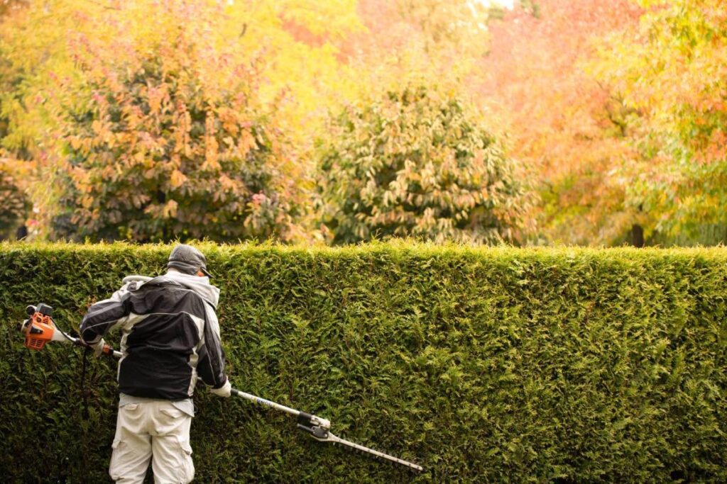 Affordable Hedge Cutting in Dandenong: A Neat Yard Without the Stress