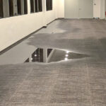 Preserving Your Melbourne Home: A Strategic Approach to Carpet Maintenance and Crisis Management