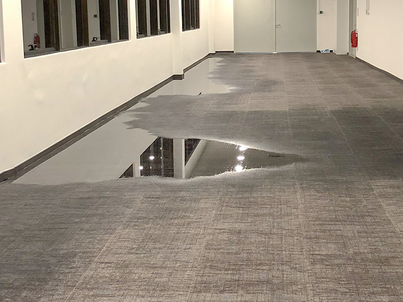 Preserving Your Melbourne Home: A Strategic Approach to Carpet Maintenance and Crisis Management
