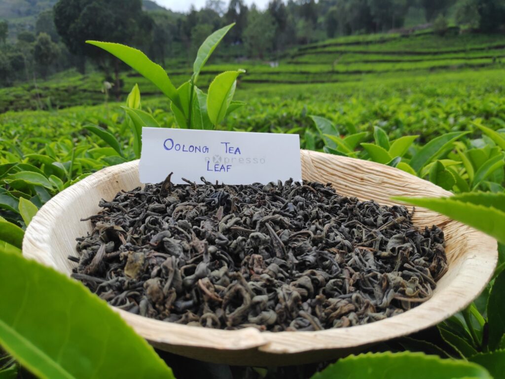 Loose Leaf Oolong Tea vs. Bagged Tea: Understanding the Differences