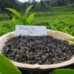 Loose Leaf Oolong Tea vs. Bagged Tea: Understanding the Differences