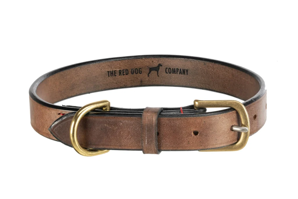 Step-by-Step Guide to Launching a Dog Harness, Collar, and Leash Brand