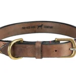 Step-by-Step Guide to Launching a Dog Harness, Collar, and Leash Brand