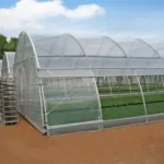 The Future of Greenhouse Production: Innovations and Perspectives from China’s Top Manufacturers