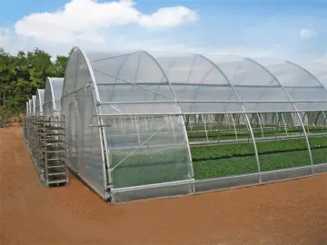 The Future of Greenhouse Production: Innovations and Perspectives from China’s Top Manufacturers