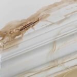 Signs of Water Damage: Early Detection for Effective Solutions