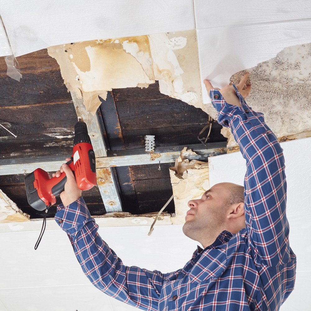Why Professional Water Damage Clean Up Makes All the Difference