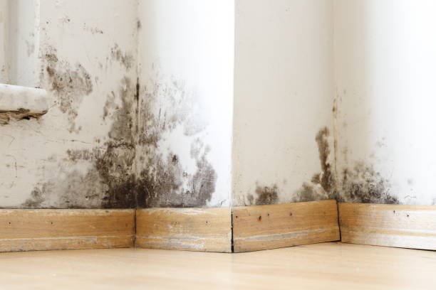 Water Damage: Common Mistakes Homeowners Make