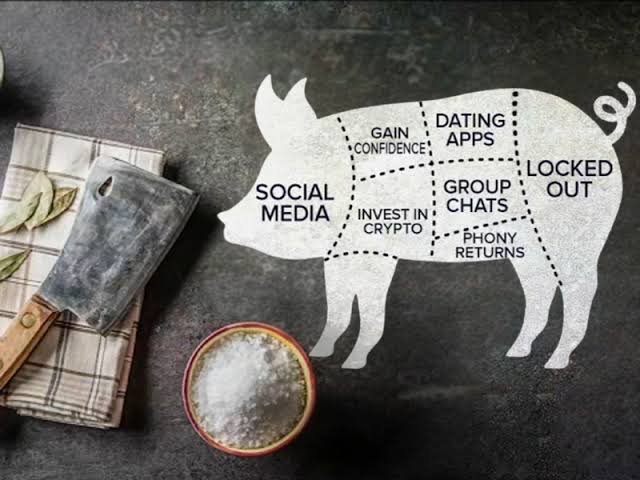 How AYRLP Recovers Millions from Pig Butchering Scams