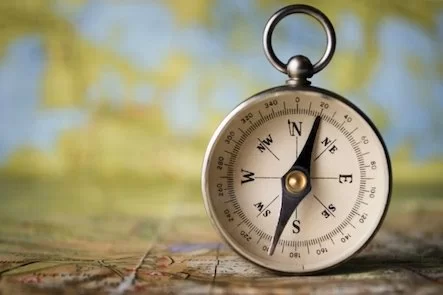 How Customized Investment Planning Supports Sustainable Wealth Growth